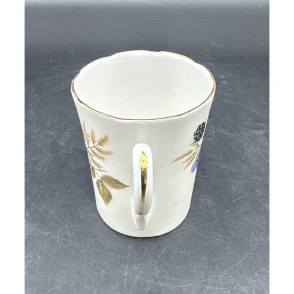 Royal Grafton FRUIT Bone China Teacup & Saucer Set Apple Grapes Blackberry - Picture 6 of 10